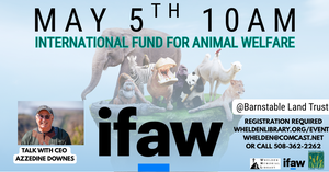 ifaw - International
